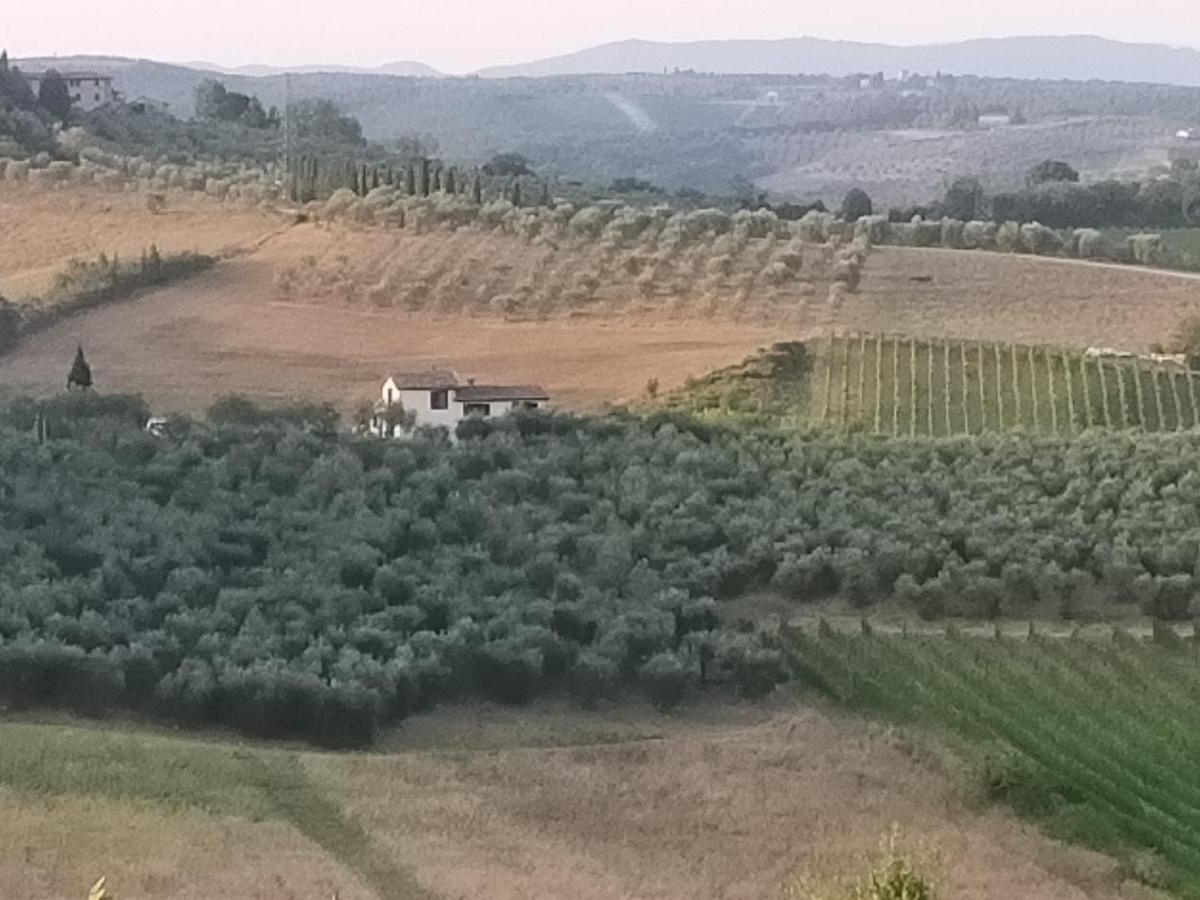 Villa Degli Olivi Nature Siena Exteriér fotografie