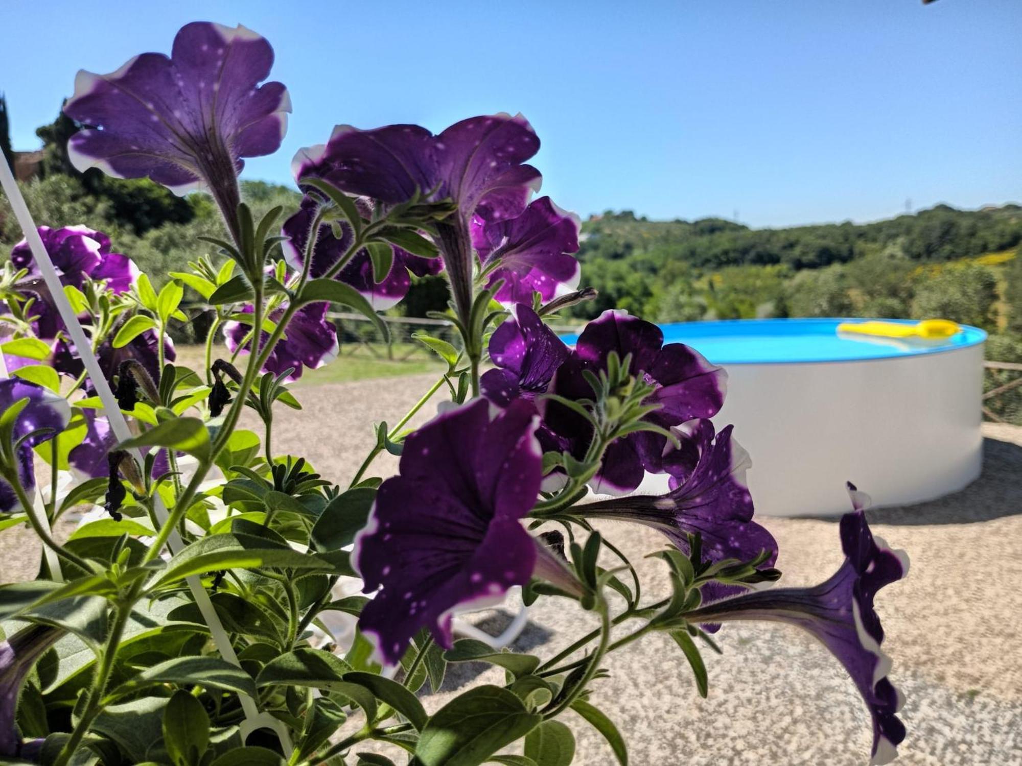 Villa Degli Olivi Nature Siena Exteriér fotografie